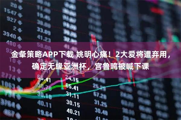 金夆策略APP下载 姚明心痛！2大爱将遭弃用，确定无缘亚洲杯，宫鲁鸣被喊下课