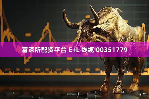 富深所配资平台 E+L 线缆 00351779