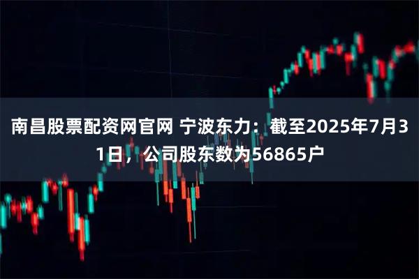 南昌股票配资网官网 宁波东力：截至2025年7月31日，公司股东数为56865户